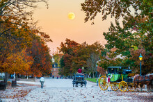 Colonial Town In USA And Carriage 