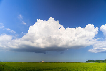 Canvas Print - 迫りくる積乱雲