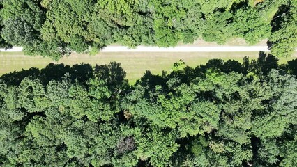 Sticker - Aerial view of green dense trees growing in the field on a sunny day