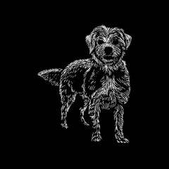 Malteagle hand drawing vector illustration isolated on black background