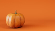 Contemporary Autumn Image With Pumpkin On Orange Background.