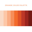 orange color palette vector illustration isolated on white background