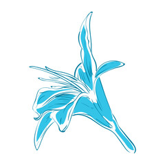 Sticker - blue orchid design