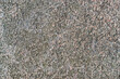 texture of unpolished granite