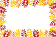 Autumn leaves imprint background. Frame with leaf. Vector illustration