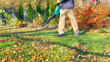 Blower removes fallen leaves from the lawn. A gardener with a blower cleans the grass from leaves in the autumn season. Household cleaning tools. Cleaning the lawn from foliage with a blower.