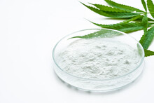 Cannabidiol Or CBD Powder In Glasses Plate, Petri Dish, And Cannabis Leaves On White Background. Weed Concept                                            