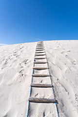 Wall Mural - ladder leading up to the sky