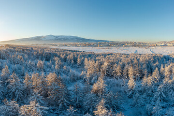 Wall Mural - Winter aerial view of the surroundings of Magadan. Top view of a beautiful winter forest. In the distance, the northern city. Cold weather. Snow covered larch trees. Magadan region, Far East of Russia