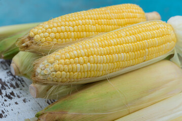 Wall Mural - Fresh corn, sweet corn