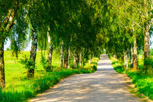 Summer Empty Country Road With Trees Beside.Landscape Concept. Long Gravel Road In Summer Nature Landscape.