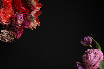  Beautiful fresh flowers on dark background, space for text