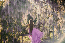 Thoughtful Happy Mature Woman Surrounded By Chinese Wisteria In Purple Dress