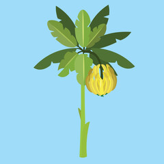 Poster - banana palm on blue background