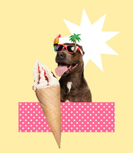 Contemporary Art Collage. Cheerful Happy Dog Eating Ice Cream On Beach. Summertime Vacation And Joy