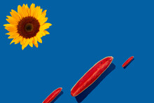 Trendy Sunlight Summer Pattern Made With Watermelon Fruit And Sunflower On  Blue Background. Minimal Summer Concept