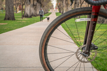 man walking with a dog in old American elm trees alley as seen through a bike front wheel, commuting concept