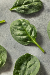 Sticker - Raw Green Organic Baby Spinach