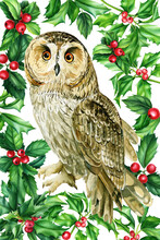Owl Bird And Holly Leaves. Berry. Watercolor Illustration. Festive Poster, Postcard 