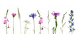 canvas print picture - Wiesenblumen mit Gräsern