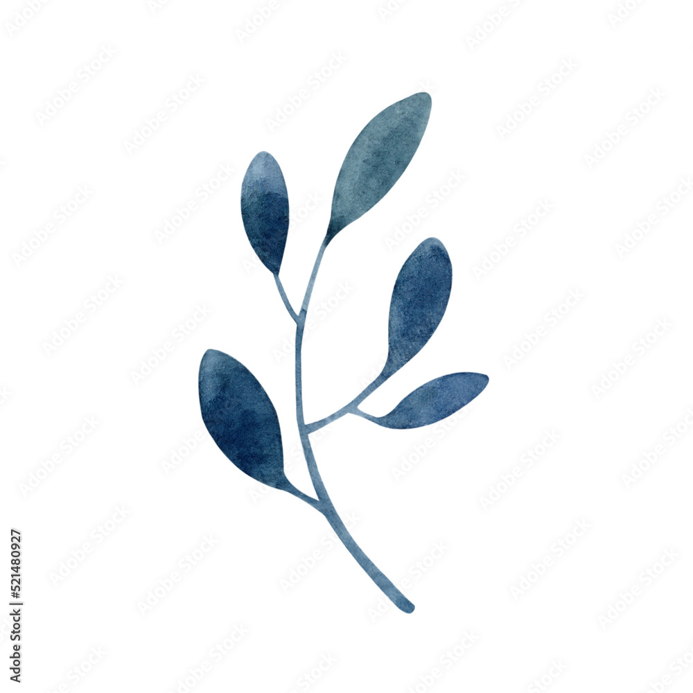 Watercolor blue branch clipart on white background. Hand drawn herb ...