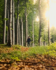 Canvas Print - Young male walking in a dense forest