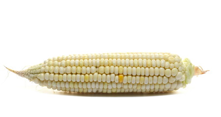 Wall Mural -  Fresh cob of corn isolated on white 