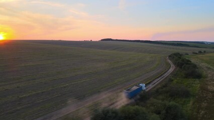 Wall Mural - Aerial view of cargo truck driving on dirt road between agricultural wheat fields making lot of dust. Transportation of grain after being harvested by combine harvester during harvesting season