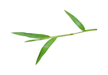  Green grass isolated on a white background included clipping path.