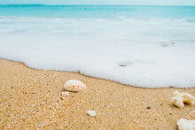 Low Angle Beach And Sea Free Stock Photo - Public Domain Pictures