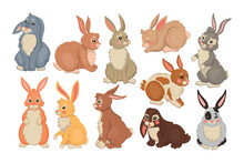 Cute Rabbits. Hare Pets. Animal Breed On Farm Field. Easter Grey Fluffy Bunny. Jumping Rodent. Domestic Mammals Poses Set. Fur Color. Holiday Mascot. Vector Cartoon Icon Background