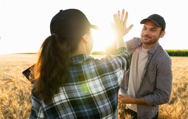 farmers man and woman with tablet and laptop high five in wheat field at sunset