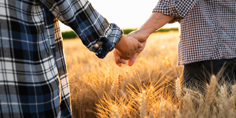 A couple of farmers in plaid shirts and caps holding hands on agricultural field of wheat at sunset