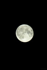 Sticker - Vertical closeup shot of the full Moon against a black sky