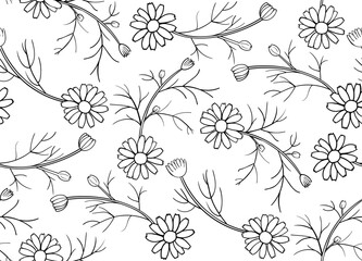  Daisy Seamless Pattern. Black contour on white background. Simple vector illustration