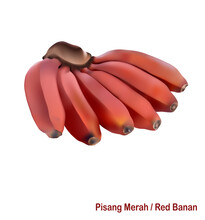 Red Banana More Benefits Like A Nutrient Rich. Best Vector HD Background