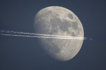 Wall Mural - an airplane flying in front of the moon