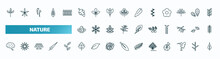 Set Of 40 Special Lineal Nature Icons. Outline Icons Such As Cuspicate, Leaf Monstera, Larch Leaf, Dry Leaf, Briar Human Brian, Tree Leave, Yucca, Damaged, Poplar Line Icons.