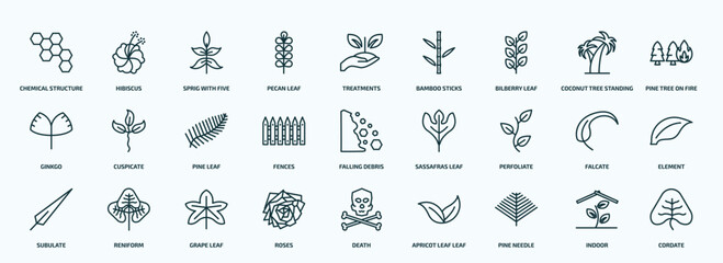 Poster - special lineal nature icons set. outline icons such as chemical structure, pecan leaf, bilberry leaf, ginkgo, fences, perfoliate, subulate, roses, pine needle, indoor line icons.