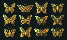 Cartoon Golden Butterfly, Cut Out Flying Insects, Cute Butterflies. Tropical Gold Insects Silhouettes, Beautiful Colorful Moths Flat Vector Illustrations Set. Golden Butterflies Collection