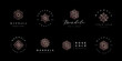 © Kiky Gravisi - Luxury mandala logo