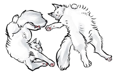 white cats, two lying cats