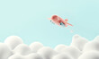 Leinwandbild Motiv Pastel airplane flying on white cloud background, travel concept, 3d rendering.
