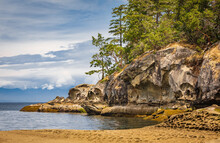 Rocky Seashore In The Pacific Rim National Park In Vancouver Island BC, Canada. Beautiful Seaside Landscape.