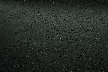 Wall Mural - Water droplets on black background