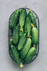 Wall Mural - Cucumbers. Fresh green organic cucumbers in basket on gray stone background.