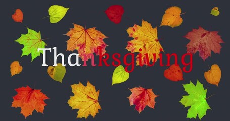 Wall Mural - Animated pattern background of rotating dry autumn leaves, Happy Thanksgiving background concept