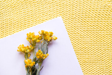 Wall Mural - yellow flower in a white book on a yellow knitted background