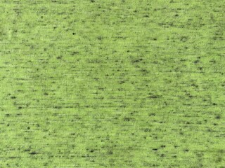 Poster - light green fabric background with dark grain