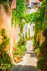 Wall Mural - beautiful old town of Provence